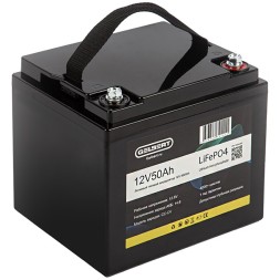 Аккумулятор литиевый тяговый GELBERT LiFePO4 6-GFM-38, 50Ah 12V