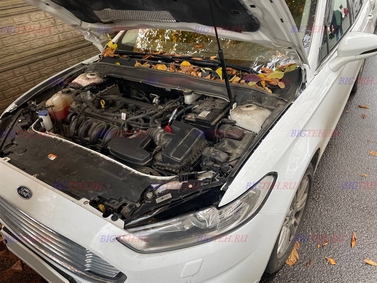 Вид спереди. Замена аккумулятора на Ford Mondeo V бензин 2.0 (187/199/203/240 л.с.) 2014-2019