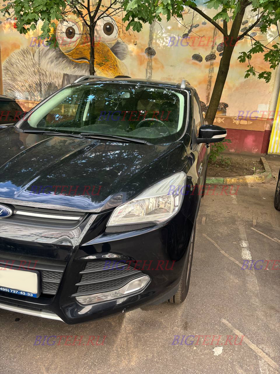 (фото автомобиля) Замена аккумулятора на Ford Kuga II бензин 1.6 (150/182 л.с.) 2012-2016