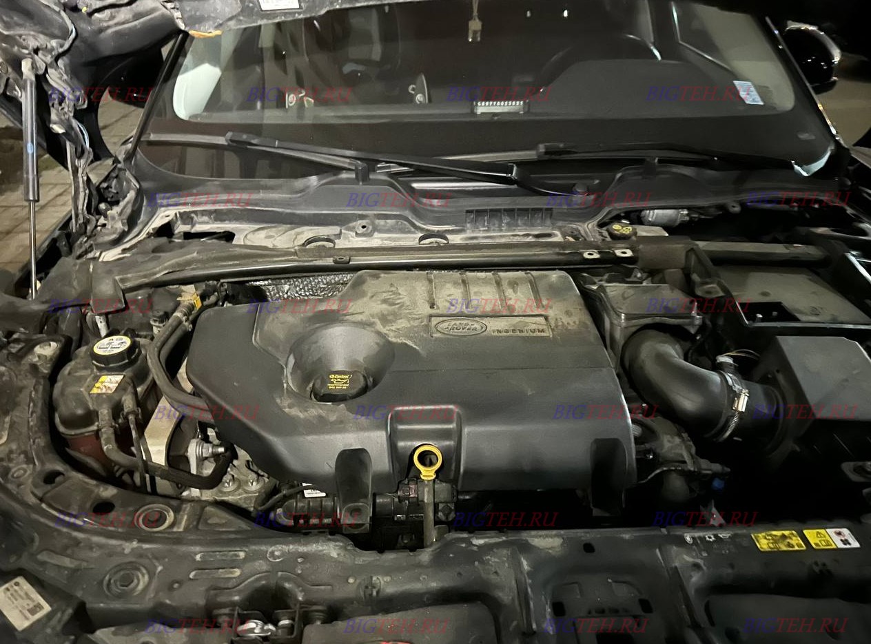 Под капотом. Замена аккумулятора на Land Rover Range Rover Evoque II 2.0D (150 л.с.) 2019г