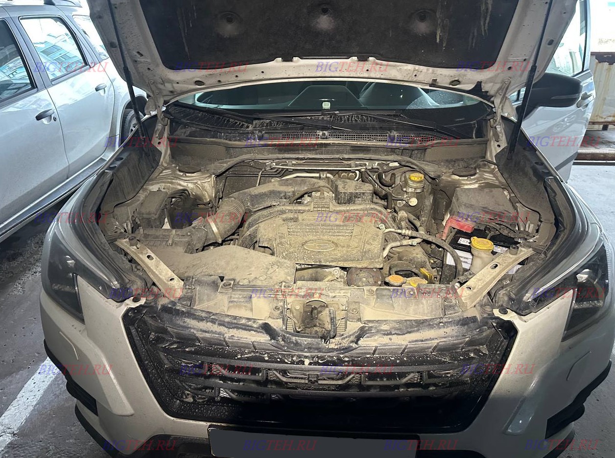 Вид спереди. Замена аккумулятора на Subaru Forester V бензин 2.5 (185 л.с.) 2019г Вид спереди. Замена аккумулятора на Subaru Forester V бензин 2.5 (185 л.с.) 2019г