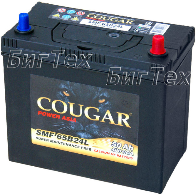 Аккумулятор автомобильный Cougar 65B24L 50 Ач (тонкие клеммы)