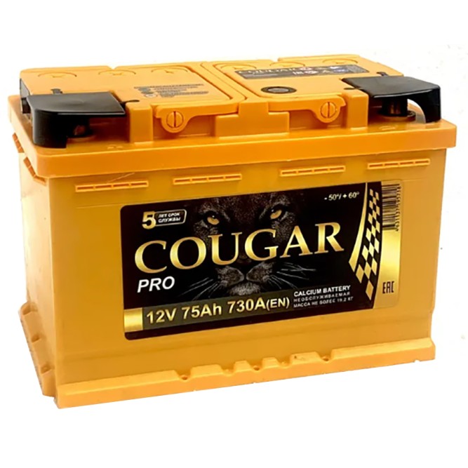 Аккумулятор автомобильный Cougar PRO 75 Ач 730А обр. пол.