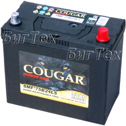 Аккумулятор автомобильный Cougar 75B24LS 55 Ач