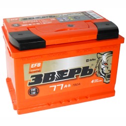 Аккумулятор автомобильный Зверь EFB 77Ач 780A обр. пол.