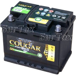 Аккумулятор автомобильный Cougar AGM Start-Stop 60 Ач Аккумулятор автомобильный Cougar AGM Start-Stop 60 Ач