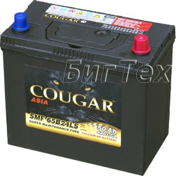 Аккумулятор автомобильный Cougar 65B24LS 50 Ач