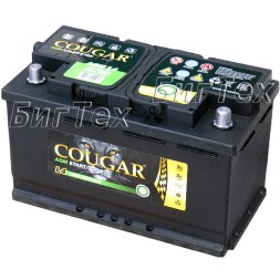 Аккумулятор автомобильный Cougar AGM Start-Stop 80 Ач Аккумулятор автомобильный Cougar AGM Start-Stop 80 Ач