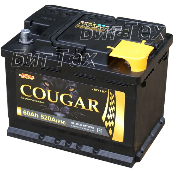 Аккумулятор автомобильный Cougar 60 Ач