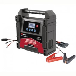 Зарядное устройство RDrive StartEasy PRO C25A-DC 12/24 Вольт