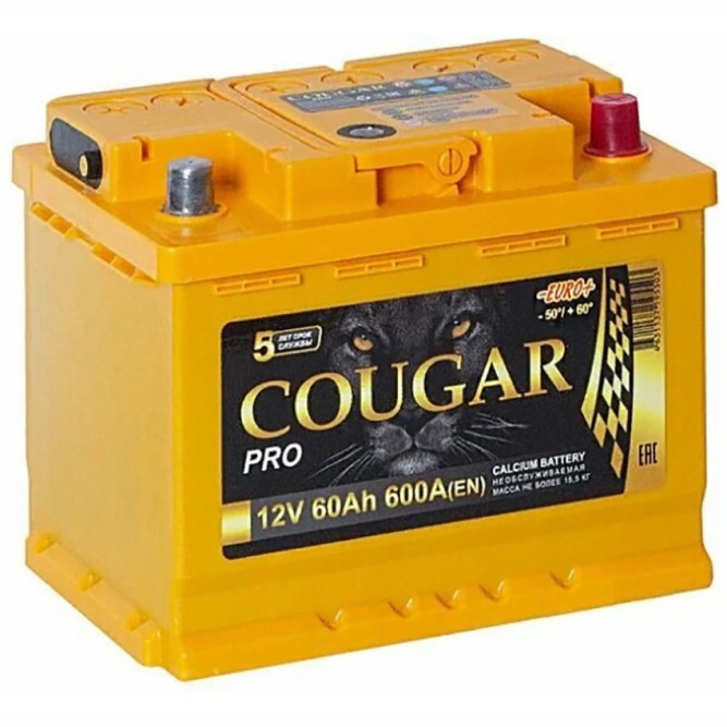Аккумулятор автомобильный Cougar PRO 60 Ач 600A обр. пол. 