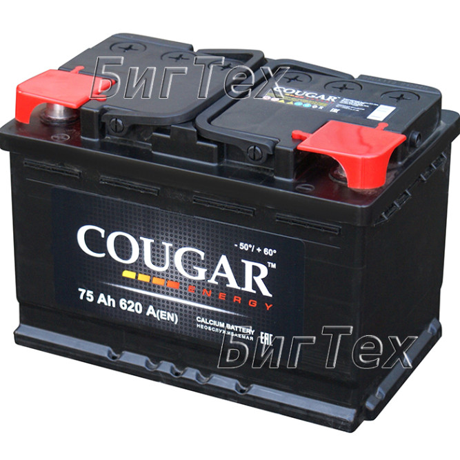 Аккумулятор автомобильный Cougar Energy 75 Ач