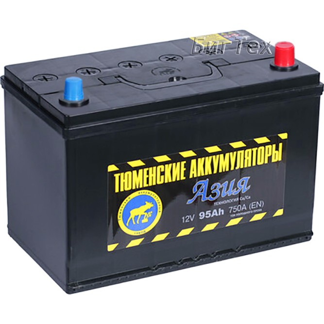 Аккумулятор автомобильный TYUMEN ASIA 95 Ач
