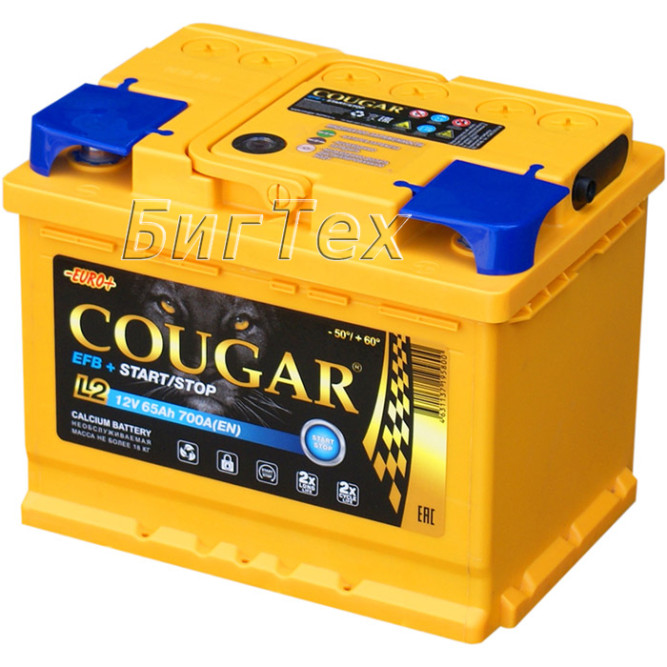 Аккумулятор автомобильный Cougar EFB 65 Ач