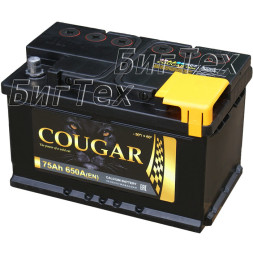 Аккумулятор автомобильный Cougar 75Ah (низкий) Аккумулятор автомобильный Cougar 75Ah (низкий)