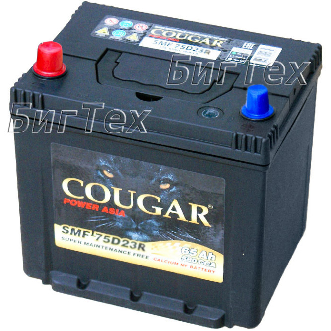 Аккумулятор автомобильный COUGAR SMF 80D23AR  62Ач 650A (низкий 205мм)