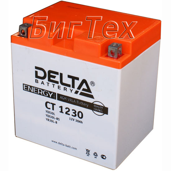Мото аккумулятор DELTA CT 1230 AGM (YIX30L-BS) 30 Ач
