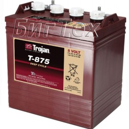 Аккумулятор тяговый Trojan T-875, 170 А/ч (8 Вольт)
