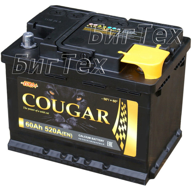 Аккумулятор автомобильный Cougar 60 Ач