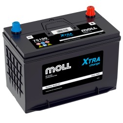 Аккумулятор автомобильный MOLL XTRA charge D31R 100Ah (75100)