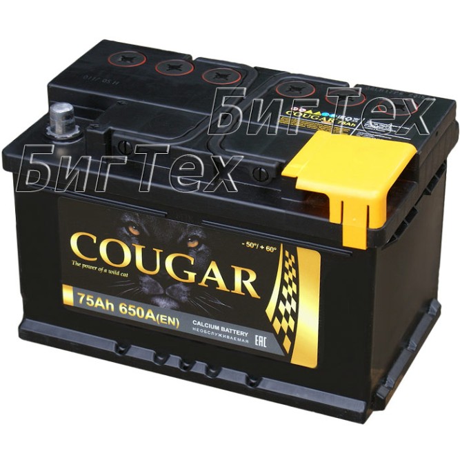 Аккумулятор автомобильный Cougar 75 Ач п.п.