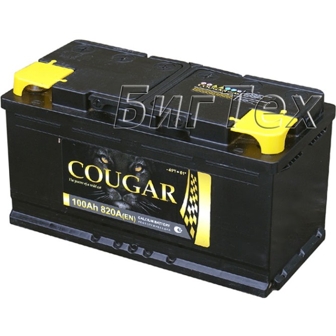 Аккумулятор автомобильный Cougar 100 Ач