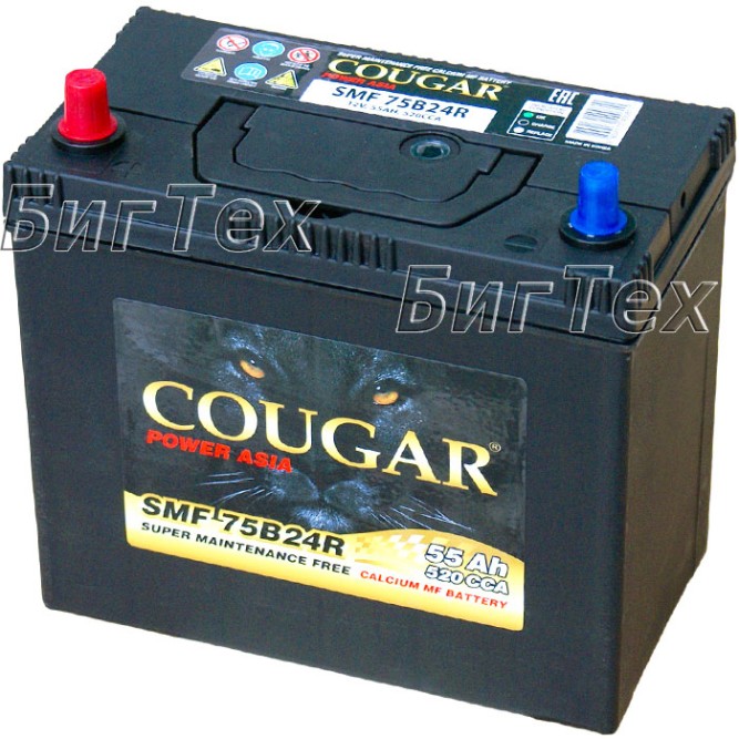 Аккумулятор автомобильный Cougar 75B24R 55 Ач (тонкие клеммы)